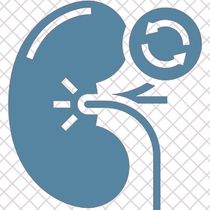 Kidney Transplant Surgeon Mumbai